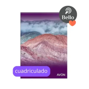 Block A4 Avon 80 hojas Cuadriculado